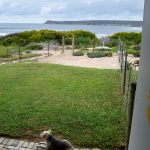 Sandy Paws dog friendly enclosed yard